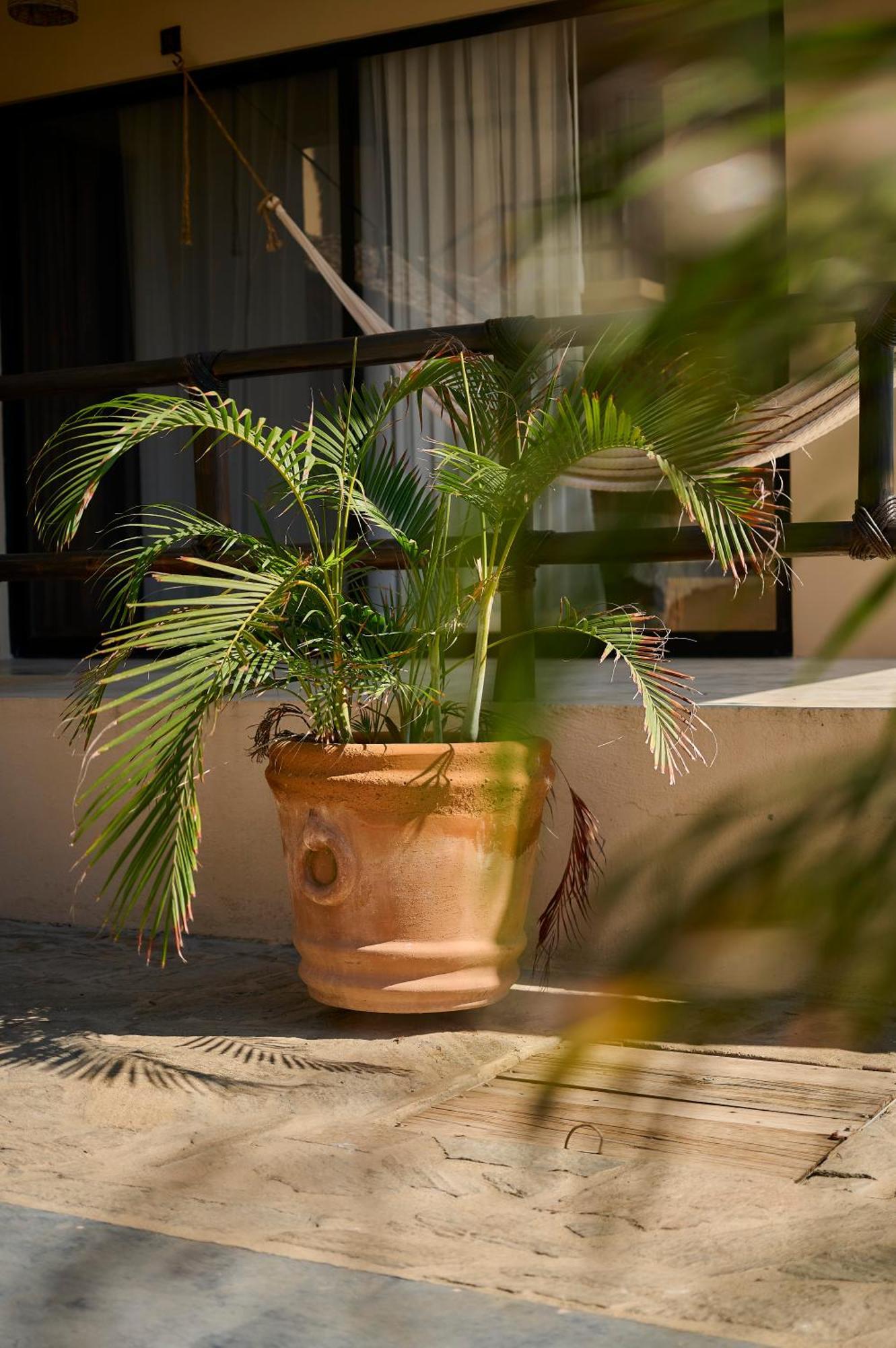 Lya Beach House Santa Maria Colotepec Ngoại thất bức ảnh